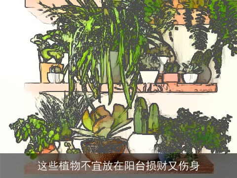 这些植物不宜放在阳台损财又伤身