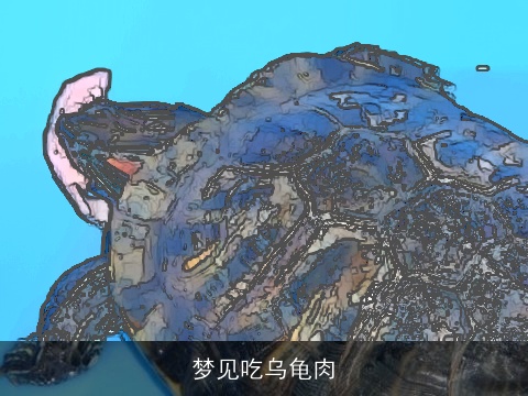 梦见吃乌龟肉