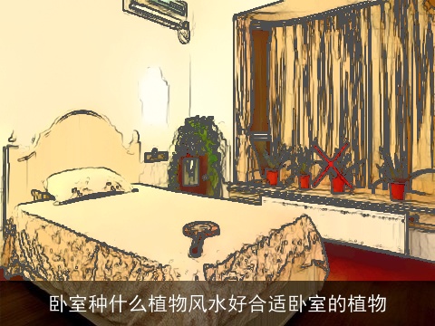 卧室种什么植物风水好合适卧室的植物