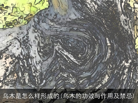 乌木是怎么样形成的(乌木的功效与作用及禁忌)