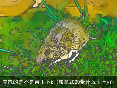 属鼠的是不是带玉不好(属鼠2O20带什么玉坠好)