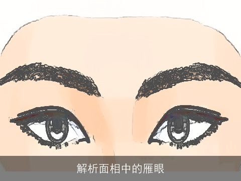 解析面相中的雁眼