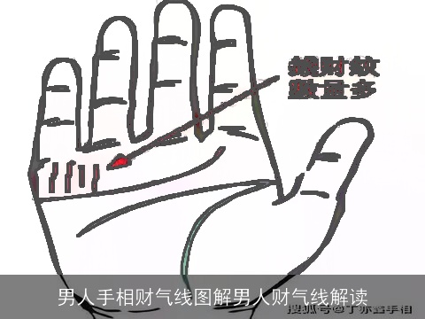 男人手相财气线图解男人财气线解读