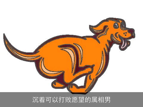 沉着可以打败愿望的属相男