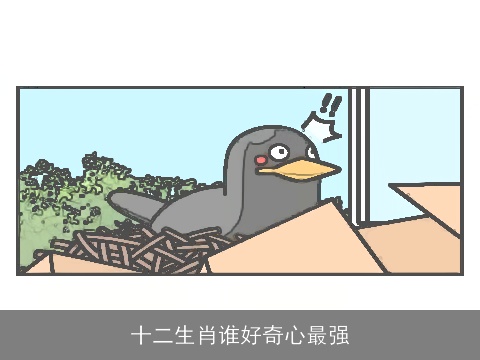 十二生肖谁好奇心最强