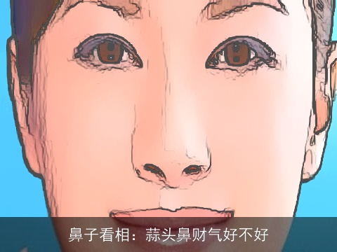 鼻子看相：蒜头鼻财气好不好