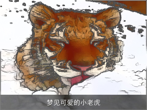 梦见可爱的小老虎