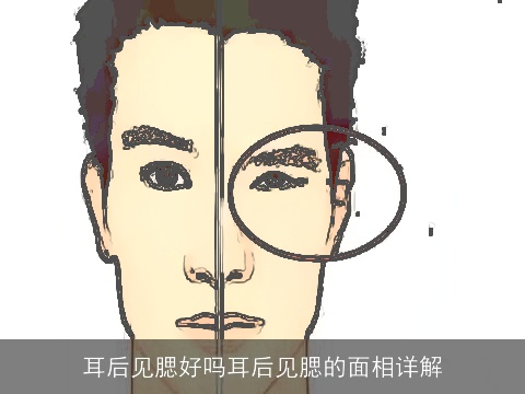 耳后见腮好吗耳后见腮的面相详解