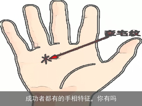 成功者都有的手相特征，你有吗