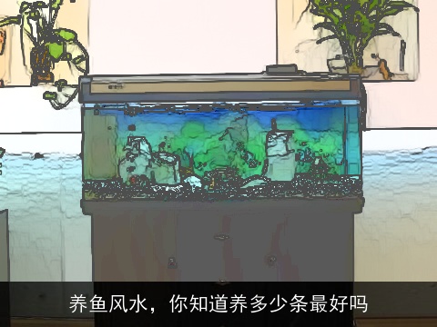 养鱼风水，你知道养多少条最好吗