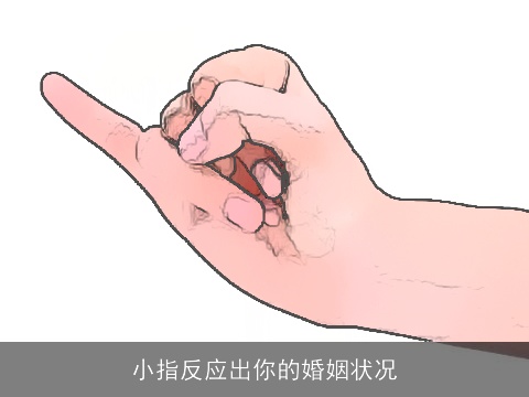 小指反应出你的婚姻状况