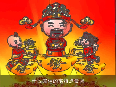 什么属相的宅特点最强