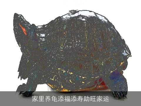 家里养龟添福添寿助旺家运