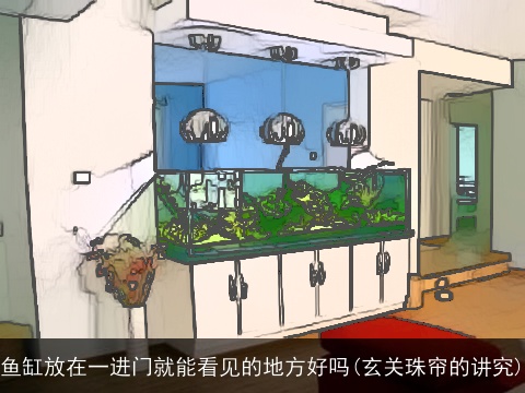 鱼缸放在一进门就能看见的地方好吗(玄关珠帘的讲究)