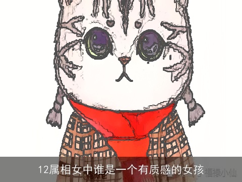 12属相女中谁是一个有质感的女孩