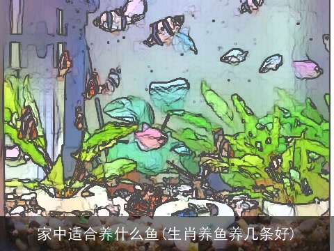 家中适合养什么鱼(生肖养鱼养几条好)