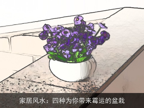家居风水：四种为你带来霉运的盆栽