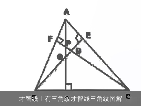 才智线上有三角纹才智线三角纹图解