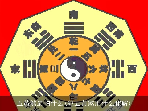 五黄煞最怕什么(犯五黄煞用什么化解)