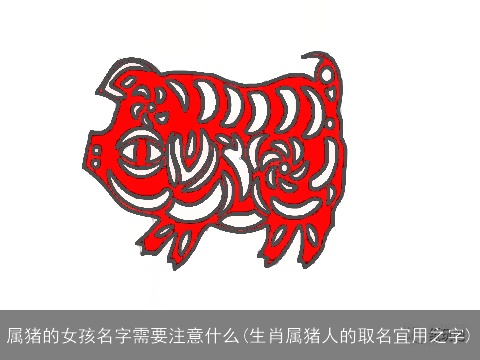 属猪的女孩名字需要注意什么(生肖属猪人的取名宜用之字)
