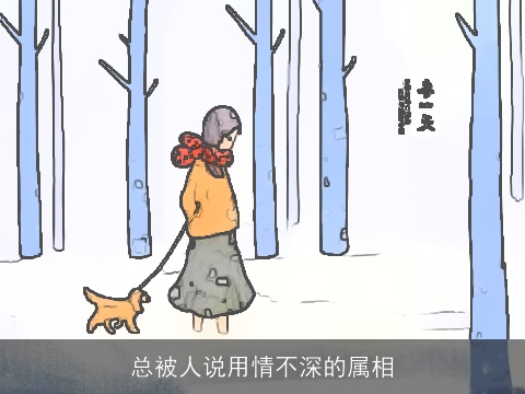 总被人说用情不深的属相