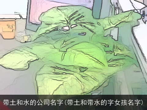 带土和水的公司名字(带土和带水的字女孩名字)