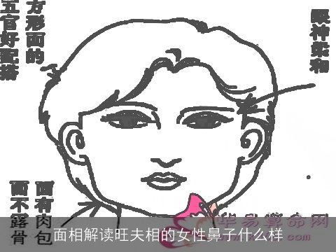 面相解读旺夫相的女性鼻子什么样