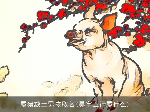 属猪缺土男孩取名(昊字五行属什么)