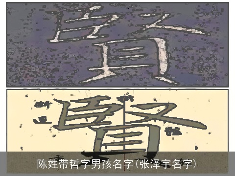 陈姓带哲字男孩名字(张泽宇名字)