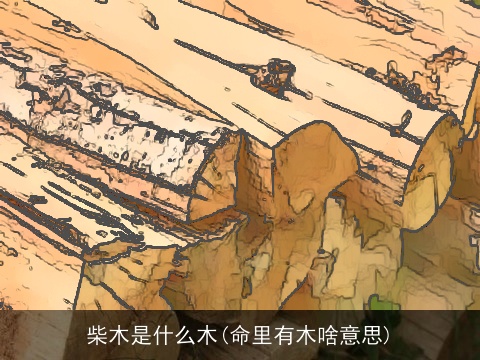 柴木是什么木(命里有木啥意思)