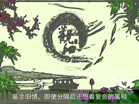 最念旧情，即便分隔后还想着复合的属相