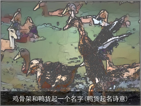 鸡骨架和鸭货起一个名字(鸭货起名诗意)