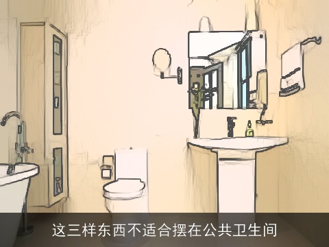 这三样东西不适合摆在公共卫生间