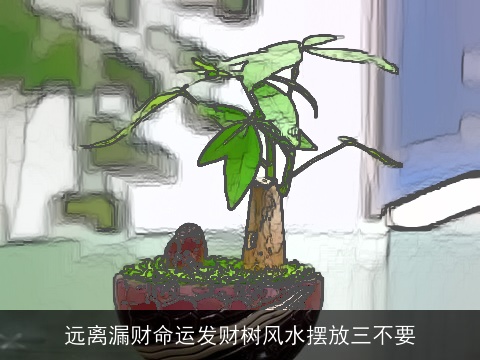 远离漏财命运发财树风水摆放三不要