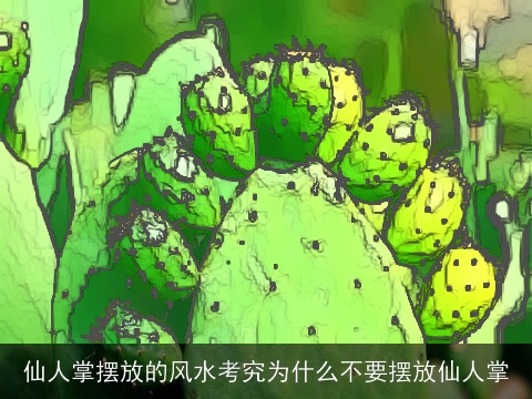 仙人掌摆放的风水考究为什么不要摆放仙人掌