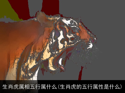 生肖虎属相五行属什么(生肖虎的五行属性是什么)