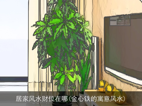 居家风水财位在哪(金心铁的寓意风水)