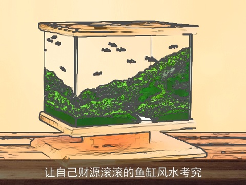 让自己财源滚滚的鱼缸风水考究