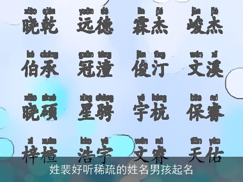 姓裴好听稀疏的姓名男孩起名