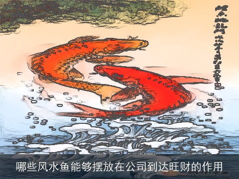 哪些风水鱼能够摆放在公司到达旺财的作用