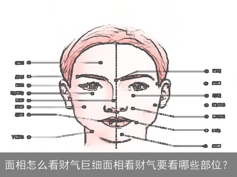面相怎么看财气巨细面相看财气要看哪些部位？