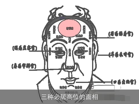 三种必居高位的面相