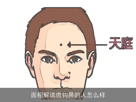 面相解读鹰钩鼻的人怎么样