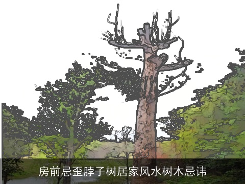 房前忌歪脖子树居家风水树木忌讳