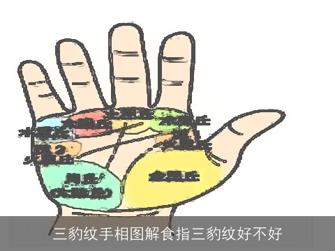 三豹纹手相图解食指三豹纹好不好
