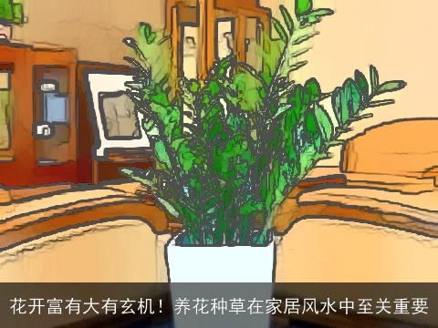 花开富有大有玄机！养花种草在家居风水中至关重要