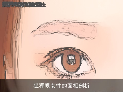 狐狸眼女性的面相剖析