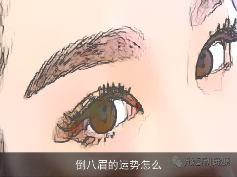 倒八眉的运势怎么