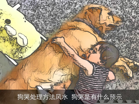 狗哭处理方法风水 狗哭是有什么预示