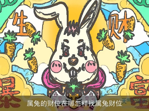 属兔的财位在哪怎样找属兔财位